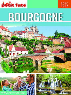 cover image of BOURGOGNE 2020 Petit Futé